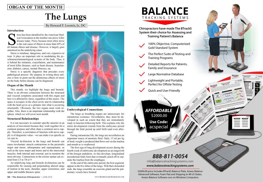 The Lungs