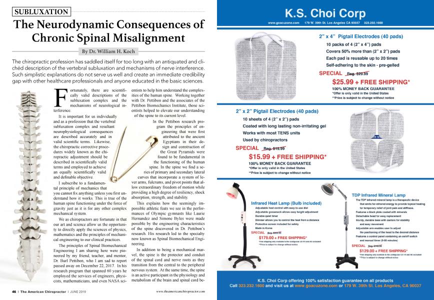 The Neurodynamic Consequences of Chronic Spinal Misalignment