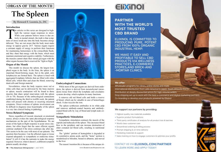 The Spleen