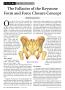 Page: - 26 | The American Chiropractor