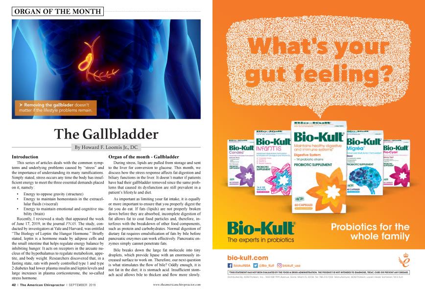 The Gallbladder