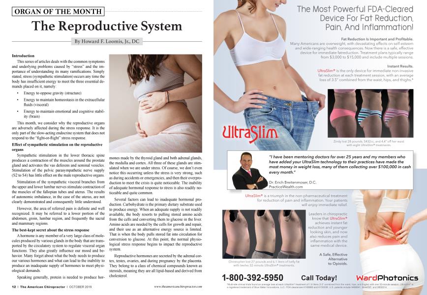 The Reproductive System