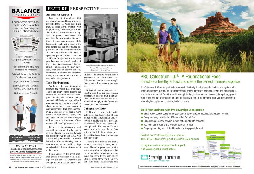 BALANCE TRACKING SYSTEMS