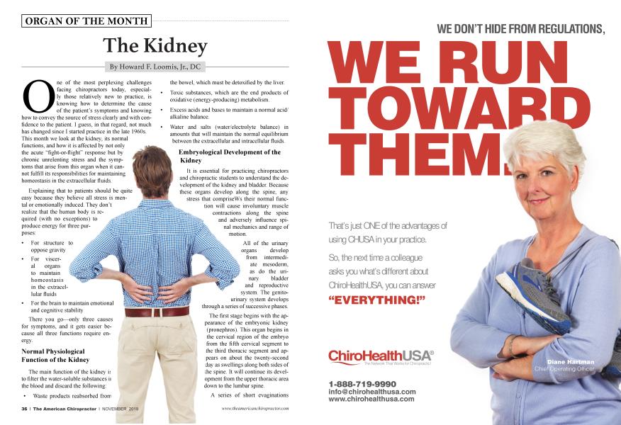 The Kidney