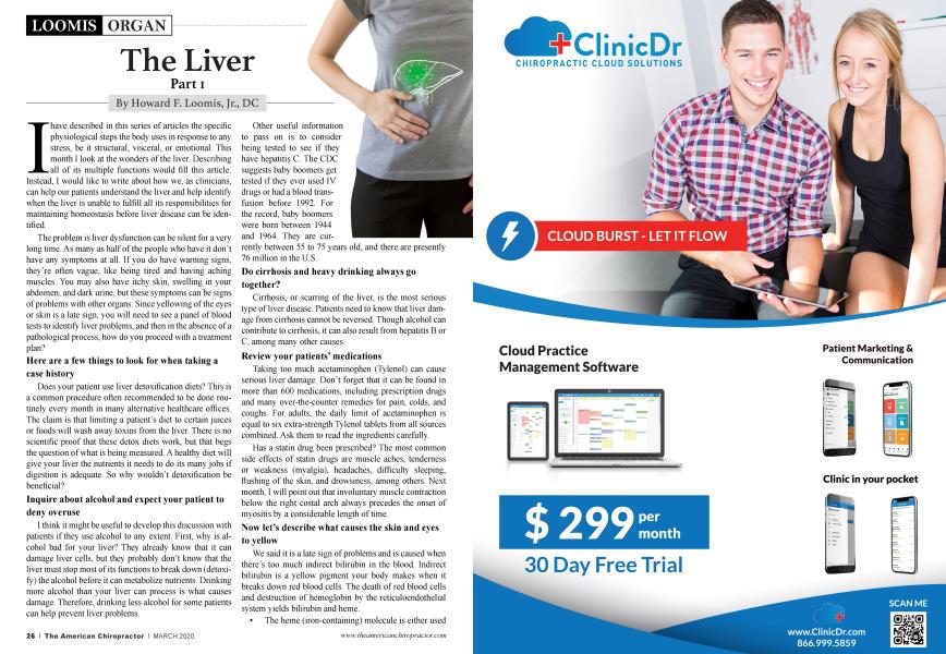 The Liver Part I