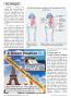 Page: - 48 | The American Chiropractor
