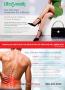Page: - 58 | The American Chiropractor