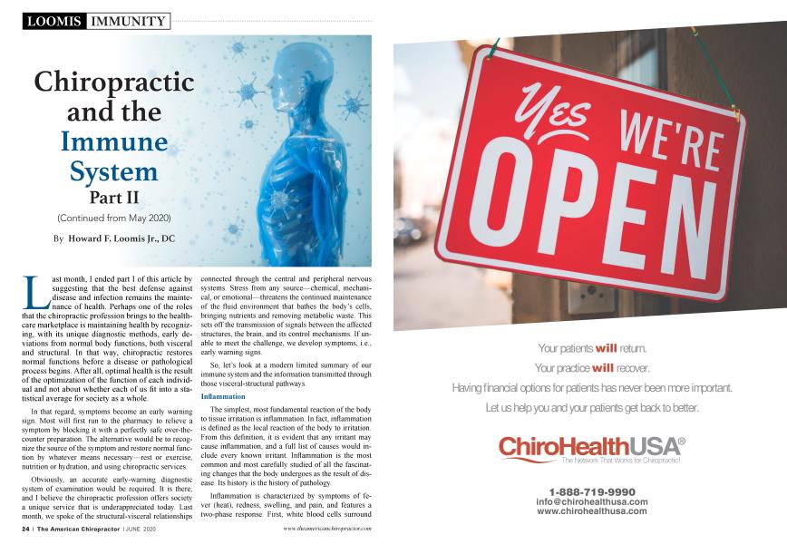Chiropractic and the Immune System Part II