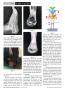 Page: - 36 | The American Chiropractor