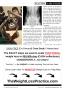 Page: - 39 | The American Chiropractor