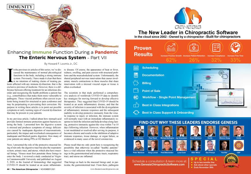 Enhancing Immune Function During a Pandemic The Enteric Nervous System - Part VII