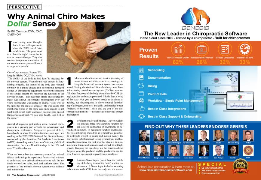 Why Animal Chiro Makes Dollar Sense