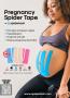 Page: - 5 | The American Chiropractor