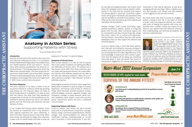 Anatomy in Action Series: Supporting Patients with Stress