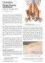 Page: - 42 | The American Chiropractor