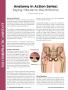 Page: - 4 | The American Chiropractor