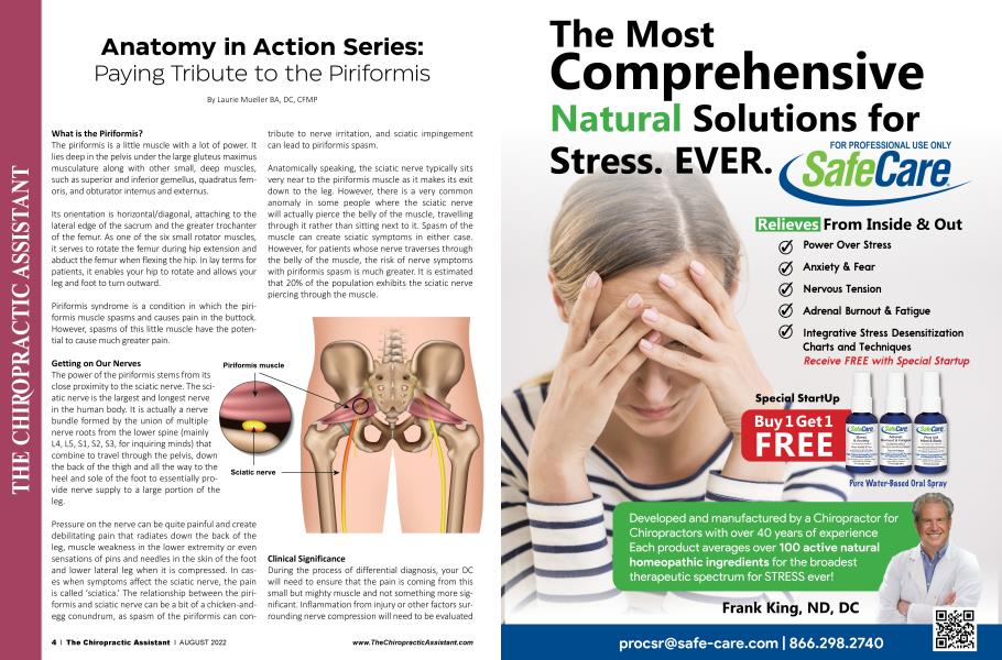 Anatomy in Action Series: Paying Tribute to the Piriformis