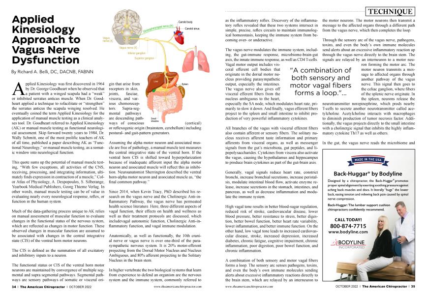 Real-World Retrospective Review of Axial Neck Pain Relief Following  Peripheral Nerve Stimulation of Cervical Medial Branch Nerves – SPR  Therapeutics