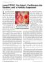 Page: - 38 | The American Chiropractor