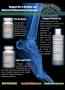Page: - 2 | The American Chiropractor