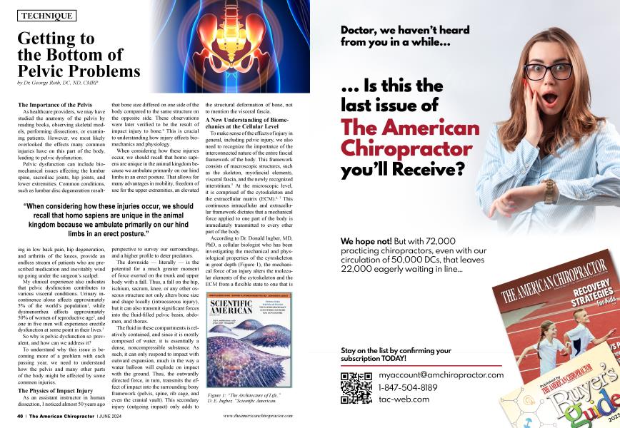 Getting to the Bottom of Pelvic Problems