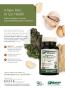 Page: - 17 | The American Chiropractor