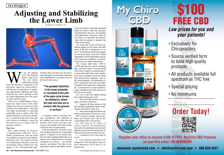 Adjusting and Stabilizing the Lower Limb