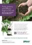 Page: - 37 | The American Chiropractor