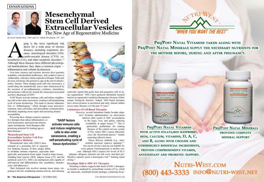 Mesenchymal Stem Cell Derived Extracellular Vesicles