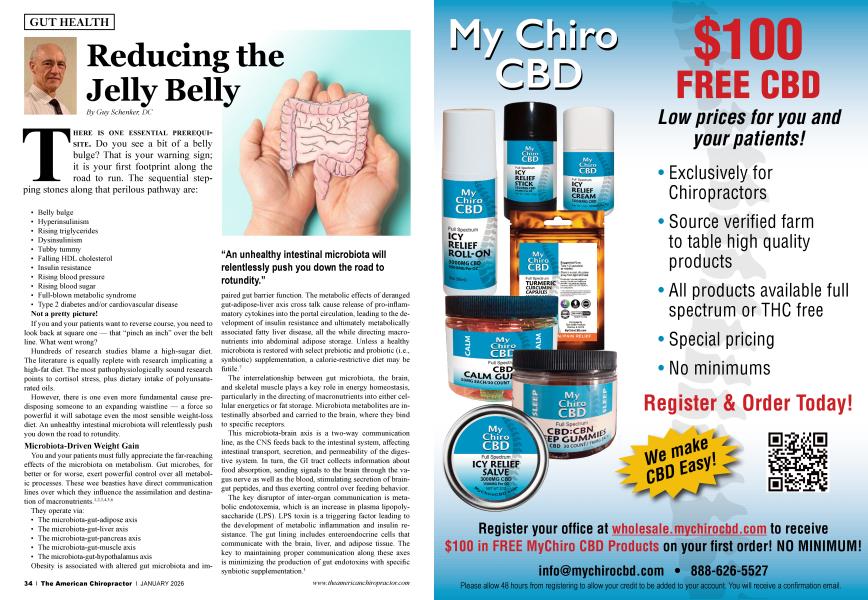 Reducing the Jelly Belly